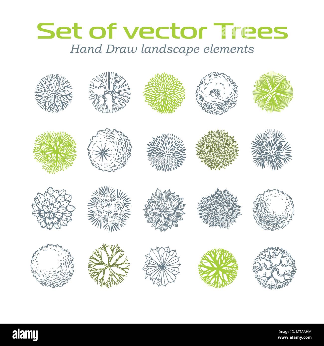 Alberi vista dall'alto. Differenti tipi di piante e alberi set di vettore per architettonici o landscape design. Vista da sopra Illustrazione Vettoriale