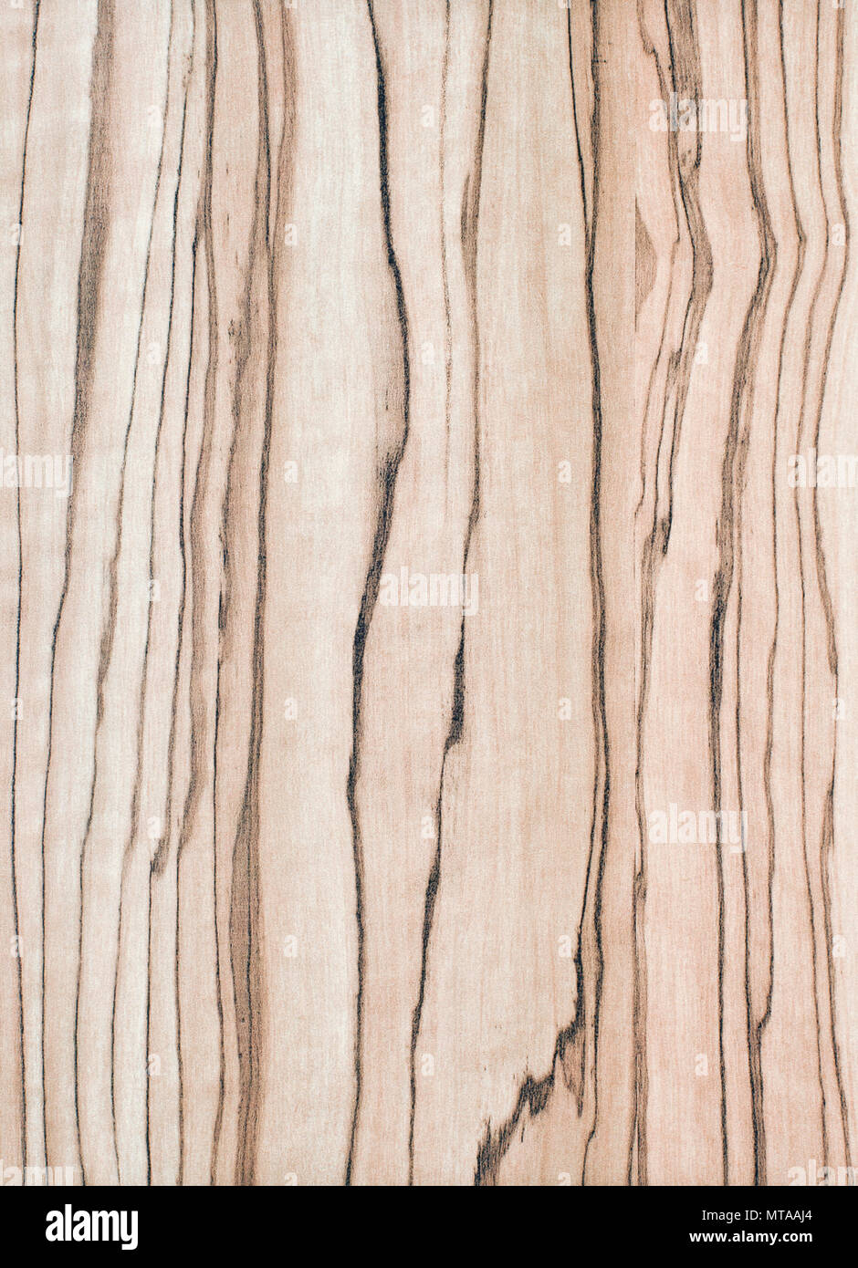 Il legno vecchio texture di sfondo Foto Stock