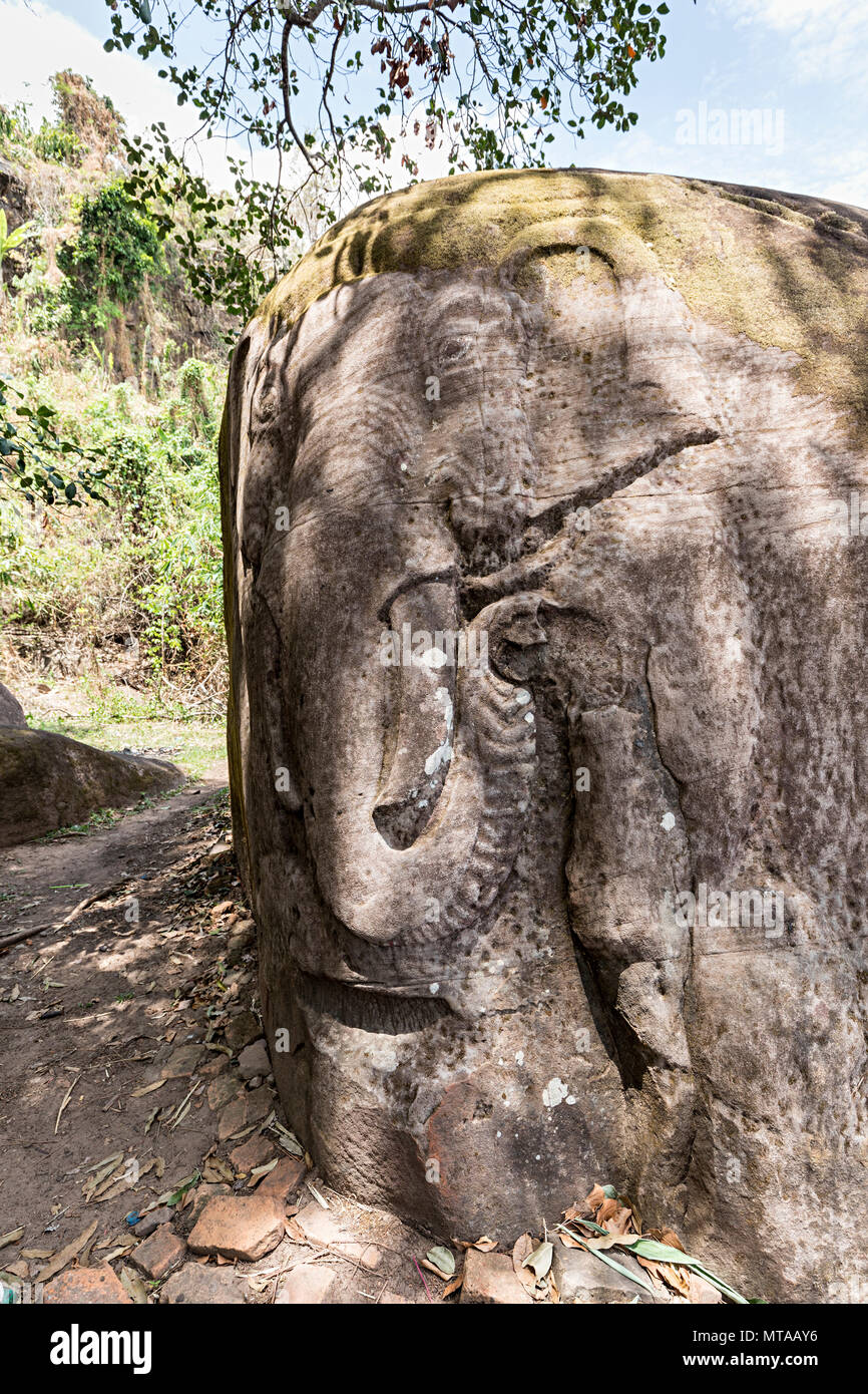 Elefante scolpito nella roccia, Wat Pho (o Wat Phu) rovina del tempio sito UNESCO, Champasak, Laos Foto Stock