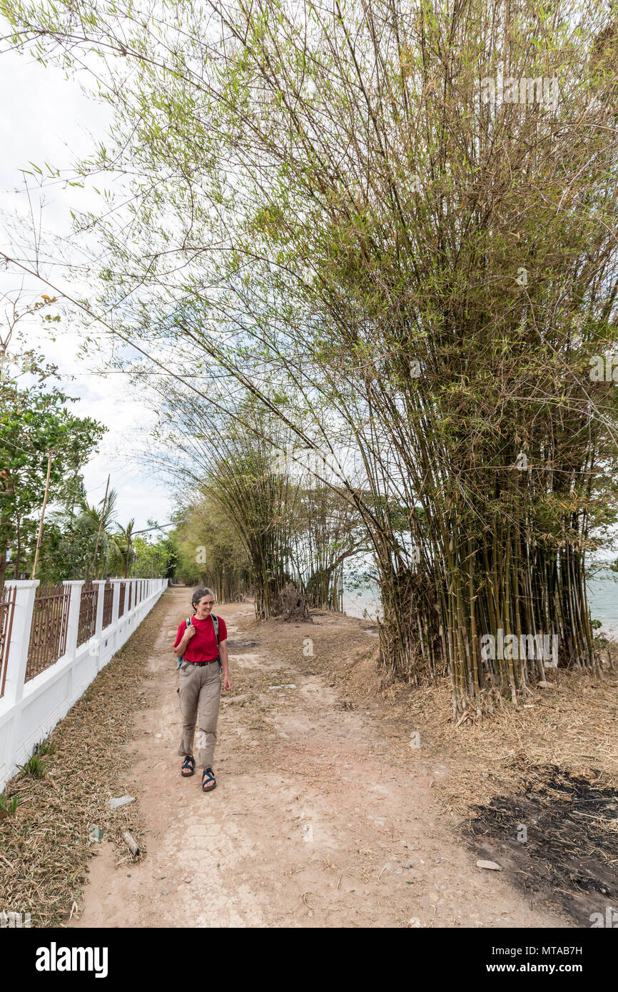 Persona che cammina sul sentiero di bambù a Iva Muang Kang a fianco del fiume Mekong, Laos Foto Stock