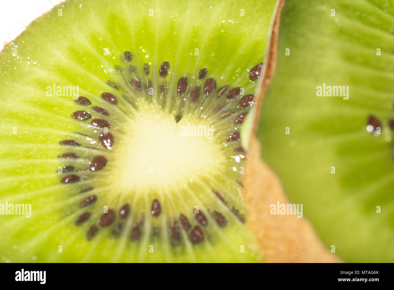 Fotografia macro di kiwi fette collocati su uno sfondo bianco. Foto Stock