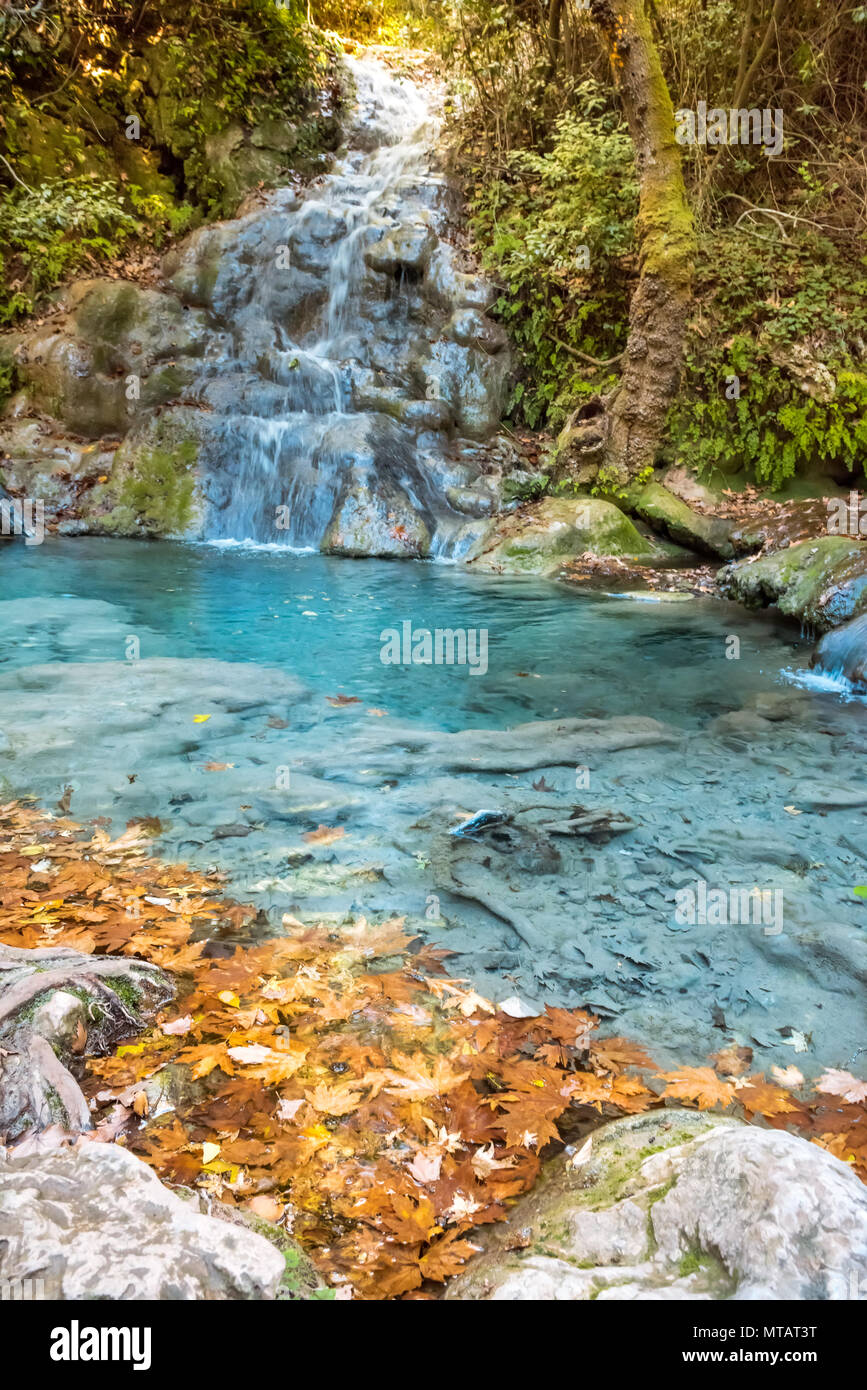 Ruscello di montagna nella foresta Foto Stock