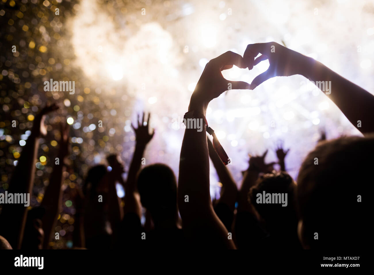 Ritratto di felice folla godendo al festival di musica Foto Stock