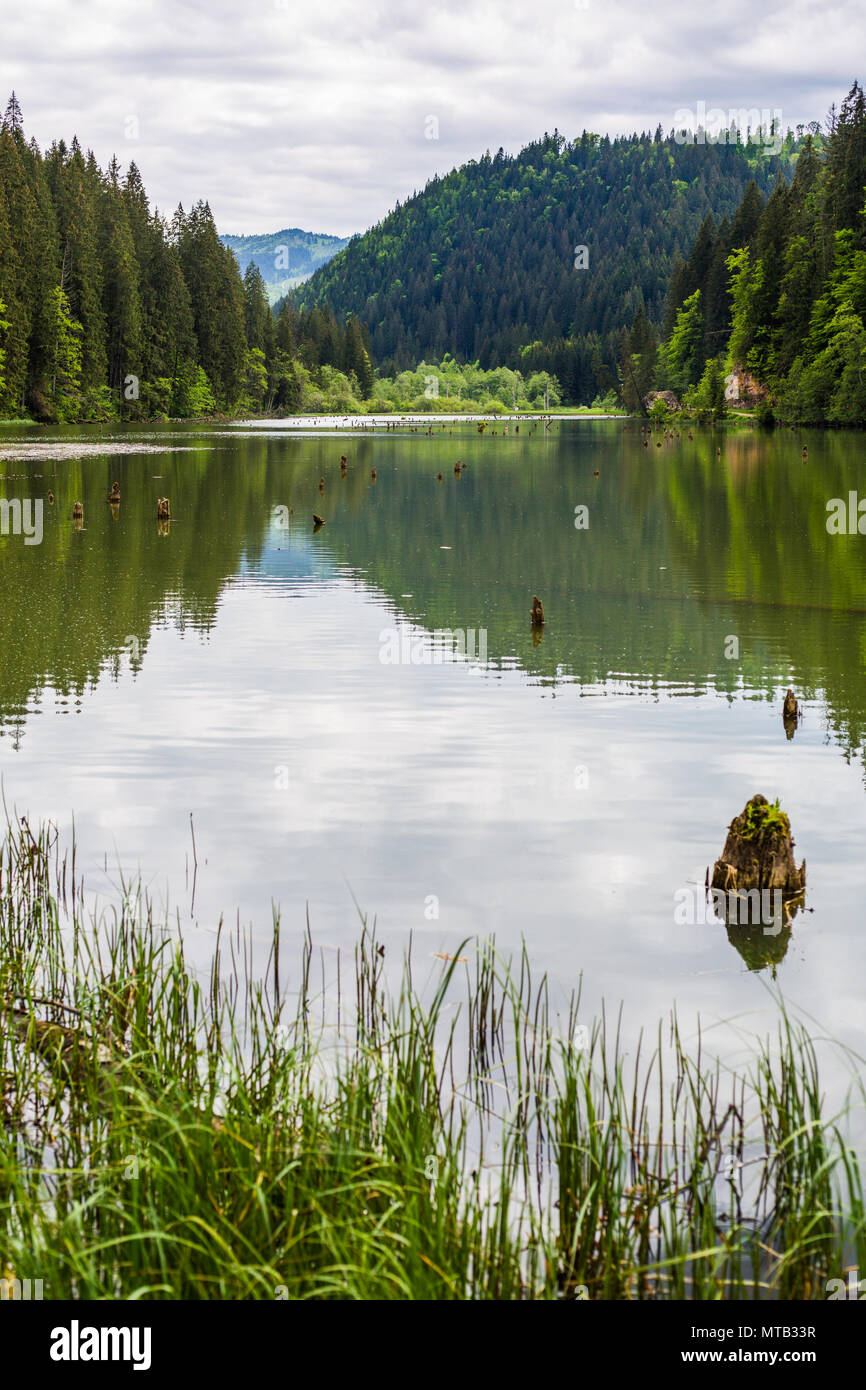 La bellissima Gyilkos-tó e Békási-szoros Foto Stock