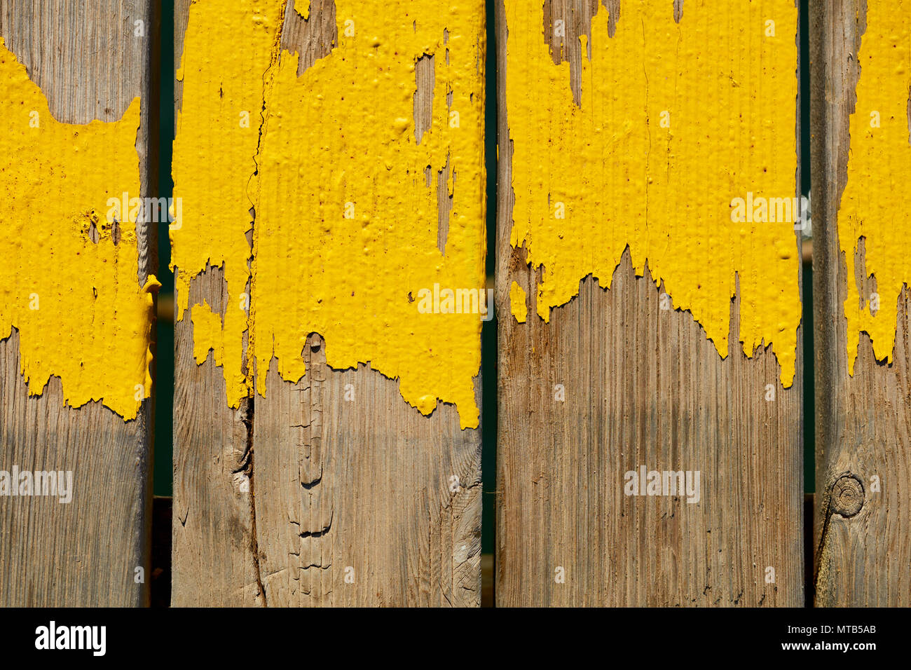 Vecchio textured tavole di legno di un porto usurata con vernice gialla. Vista ravvicinata uno sfondo per l'uso. Foto Stock