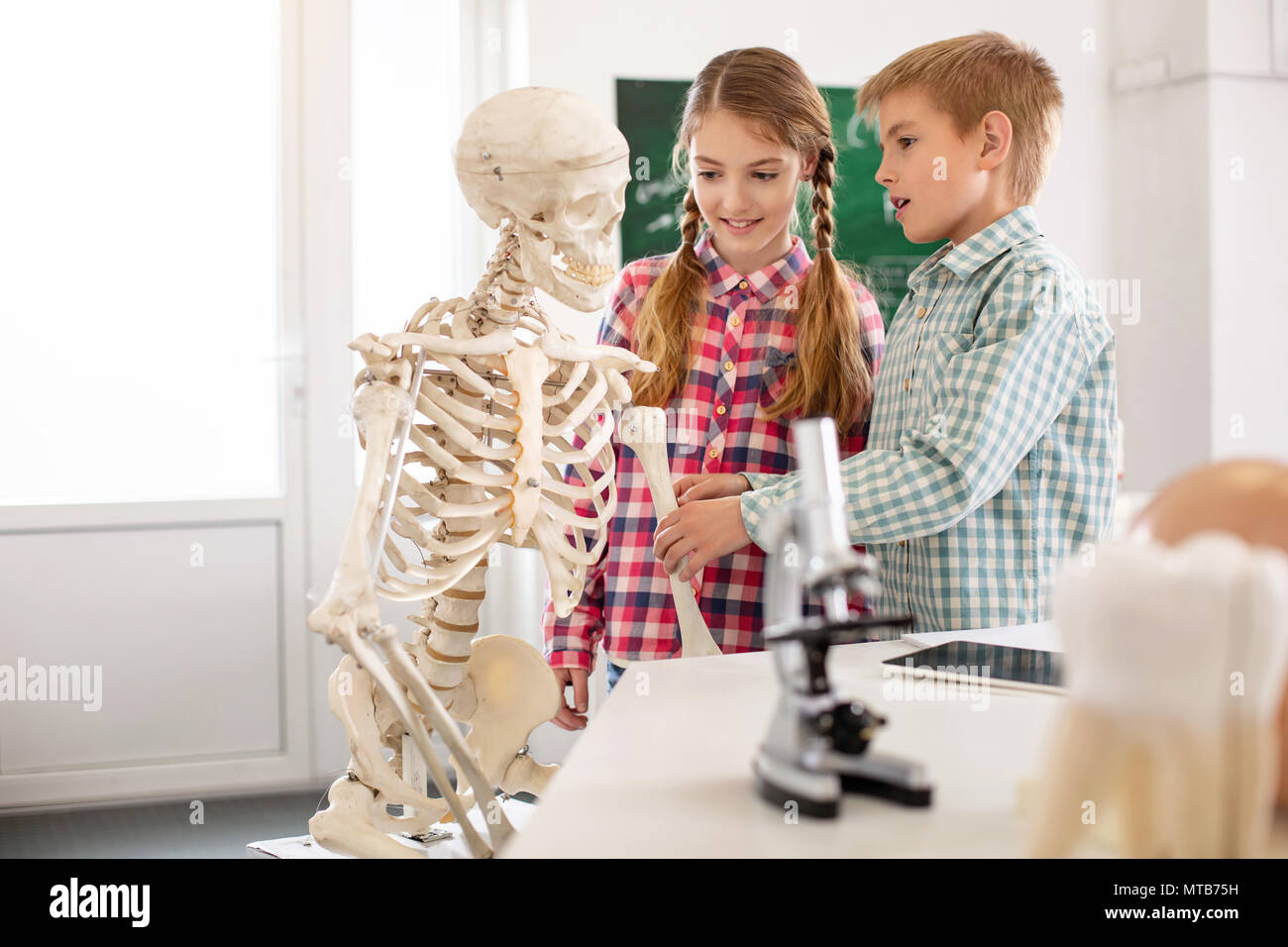 Lieti compagni di Nizza guardando lo scheletro Foto Stock