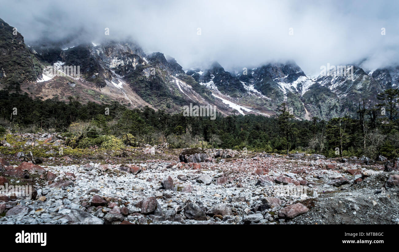 Yumthang Valley, una popolare attrazione turistica e camp natura area sull'Himalaya orientale, Sikkim, India Foto Stock