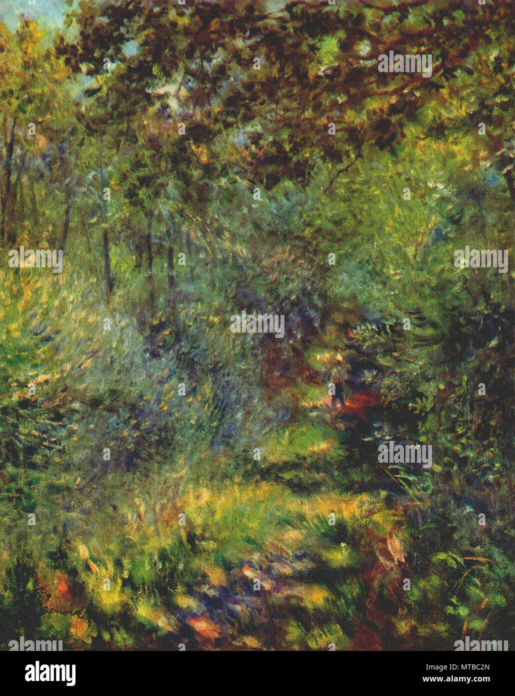 Sentiero nel bosco immagini e fotografie stock ad alta risoluzione - Alamy