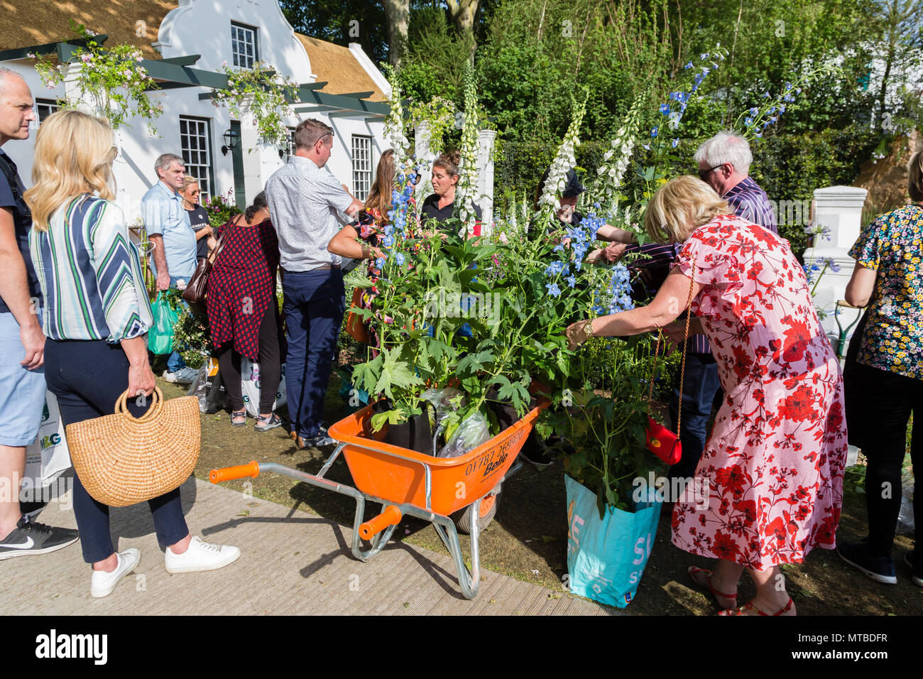 Chelsea Flower Show, Londra Sabato 27 Maggio 2018 Foto Stock