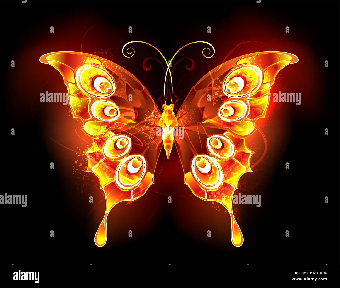 Fiery, bright butterfly peacock su sfondo nero. Illustrazione Vettoriale