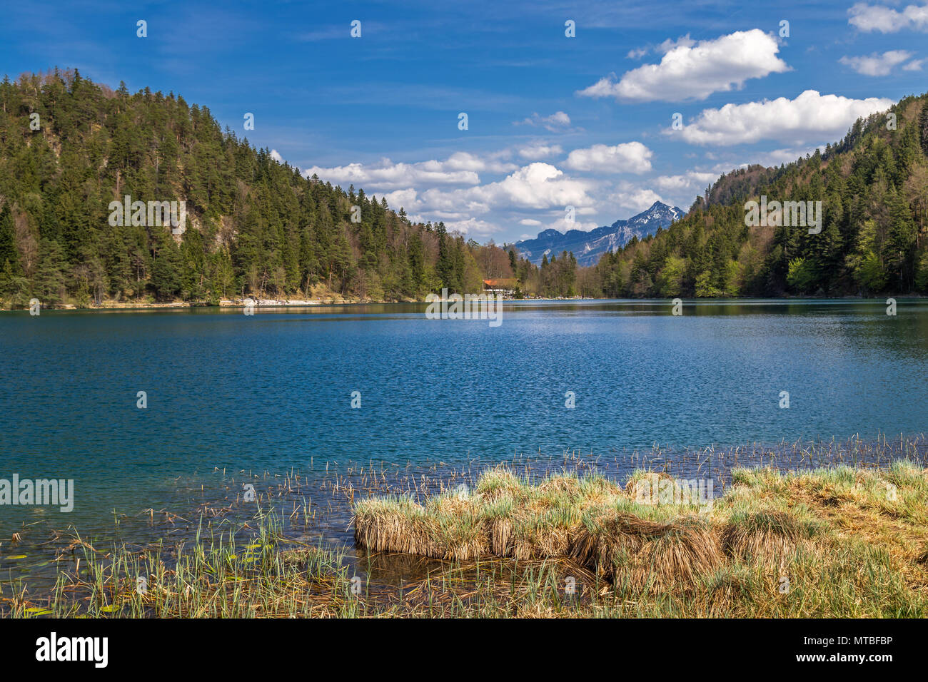 Alatsee lago, lago di montagna in Baviera, Germania Foto Stock