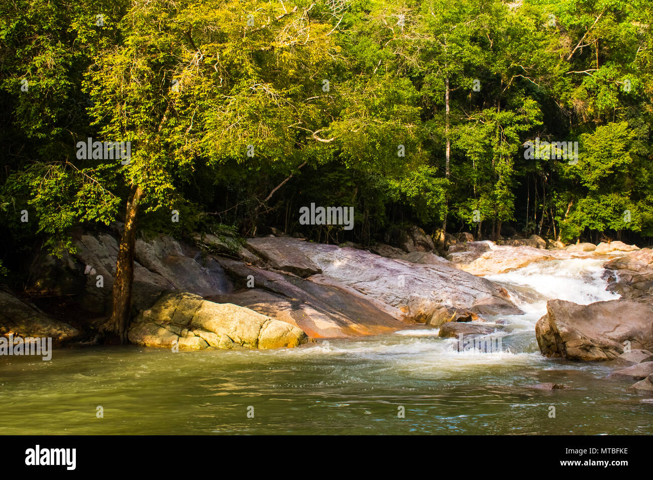 Hin Lat cascata, Koh Samui, Thailandia Foto Stock