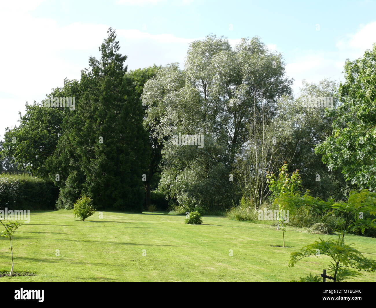 Vista di un giardino in un giorno d'estate Foto Stock