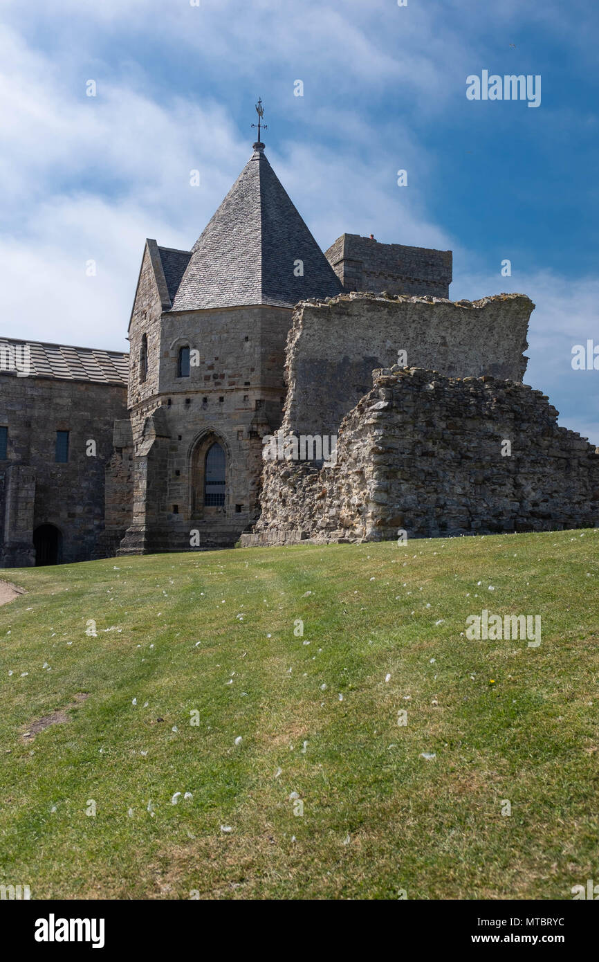 Inchcolm Abbey, Inchcolm Isola, Firth of Forth, Scozia Foto Stock