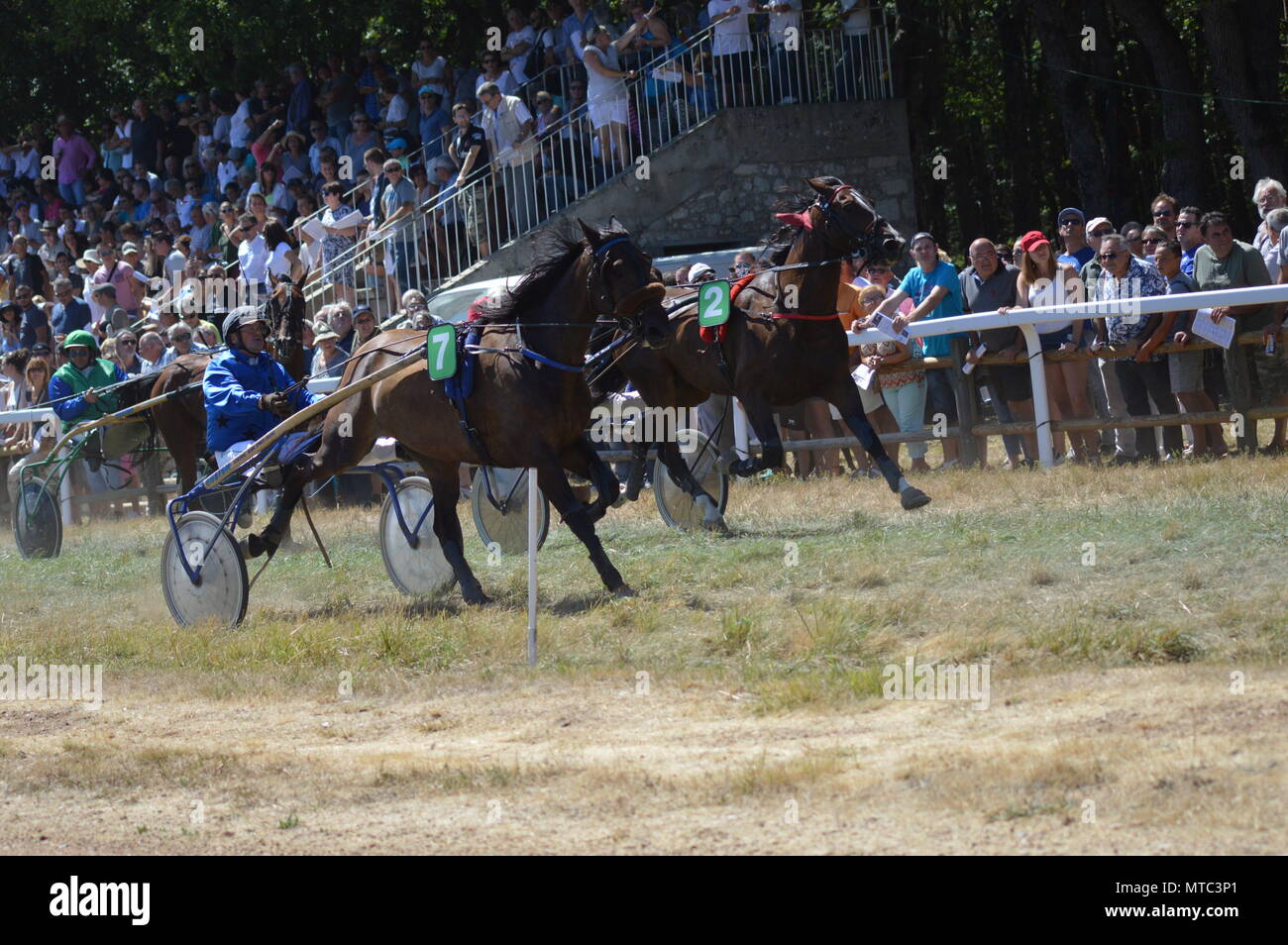 Ippodromo di Sault (Sud della Francia, la sola corsa di cavalli nel corso dell'anno, 13 agosto 2017) Foto Stock