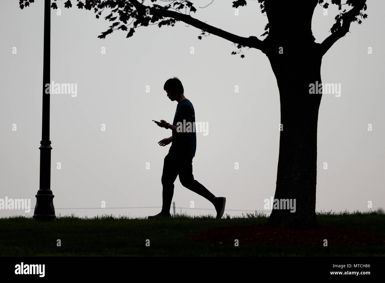 Persona che cammina con un mobile smart telefono cellulare in silhouette Foto Stock