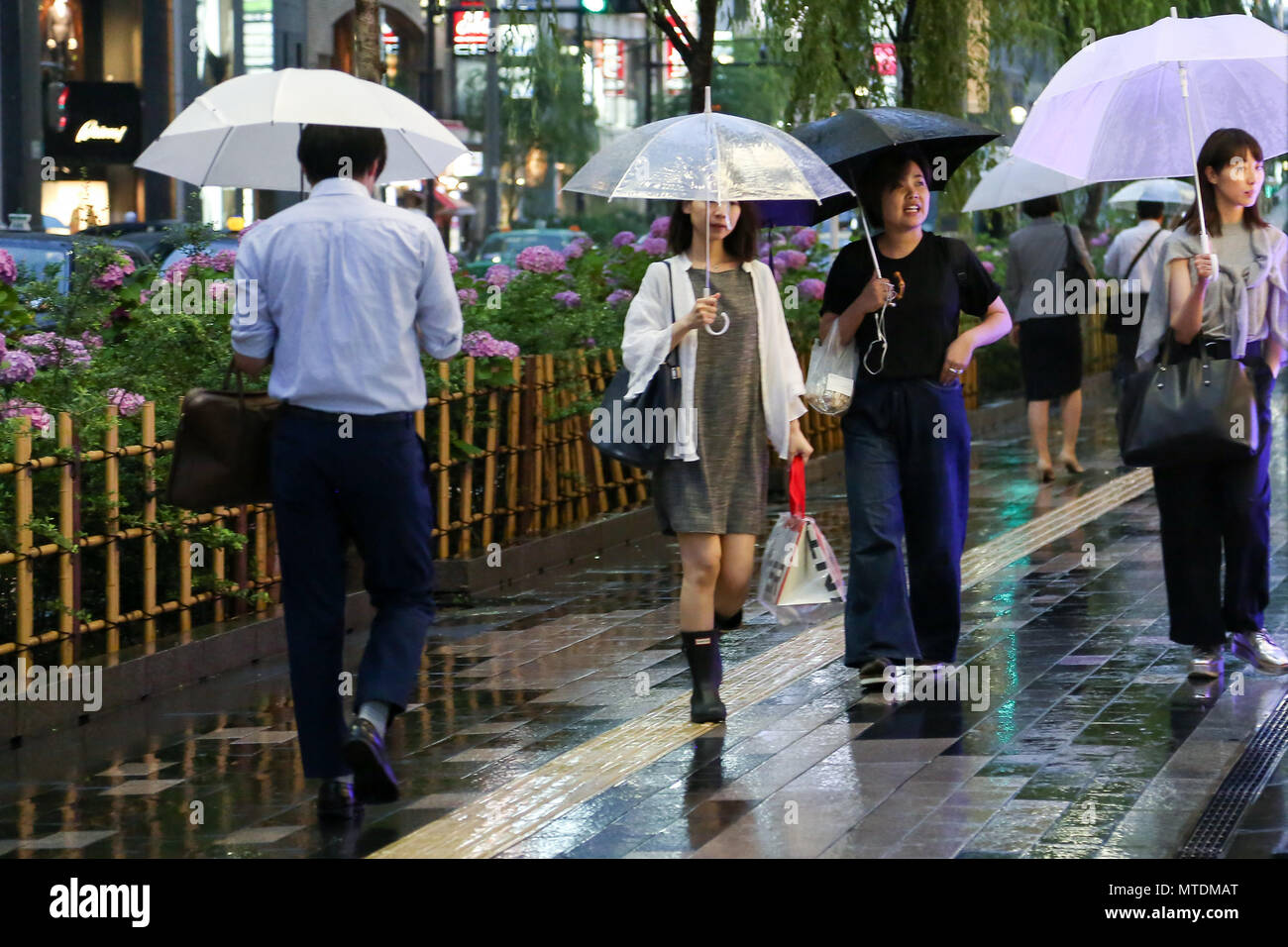 Ginza. Tokyo. 30 Maggio 2018 - Serata di pendolari, acquirenti e turisti rifugiarsi sotto gli ombrelloni nella strada dello shopping di Ginza sotto la pioggia. Ginza è un distretto di Chūō, Tokyo, situato a sud di Yaesu e Kyōbashi, a ovest di Tsukiji, a est di Yūrakuchō e Uchisaiwaichō, e a nord di Shinbashi. Roamwithrakhee credito /Alamy Live News Foto Stock