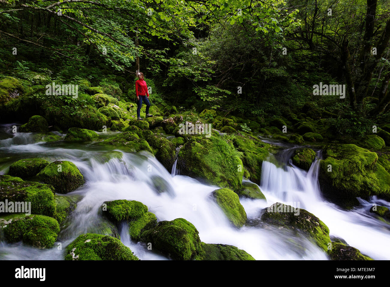 Donna in rosso con un proiettore in piedi dall'acqua che scorre sulle pietre ricoperta con MOSS. Un torrente di montagna. Foto Stock