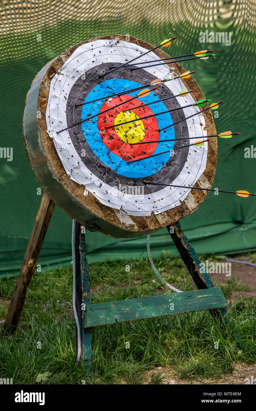 Bersaglio Tiro Con Arco 3D EVA - 25x25x3 Cm, Leggero E Portatile Per Pratica - Foto 2