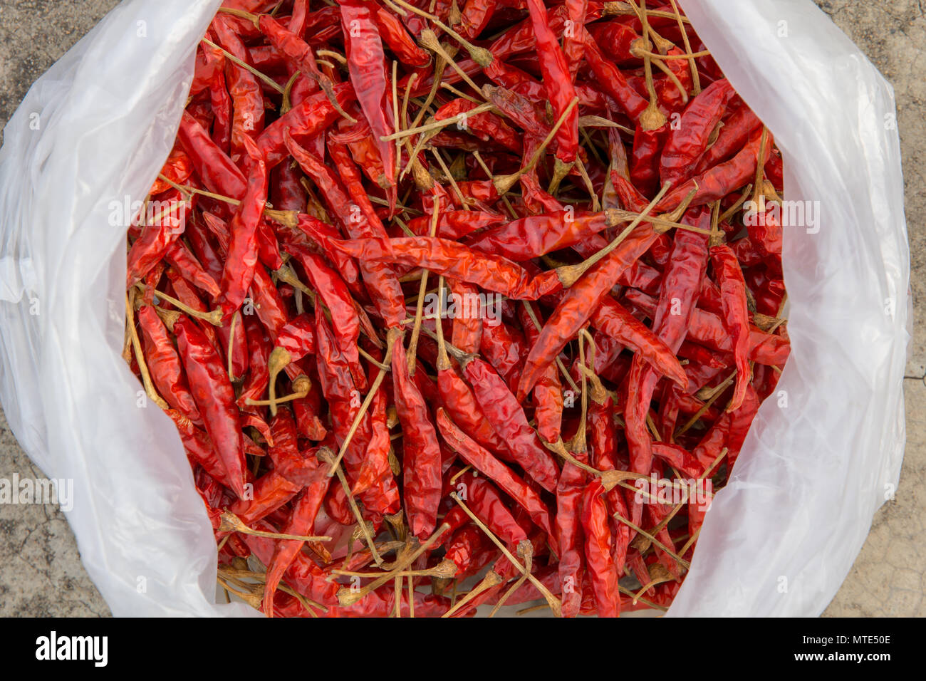 Peperoncini essiccati in bianco di sacchetti di plastica posti sul pavimento in calcestruzzo Foto Stock