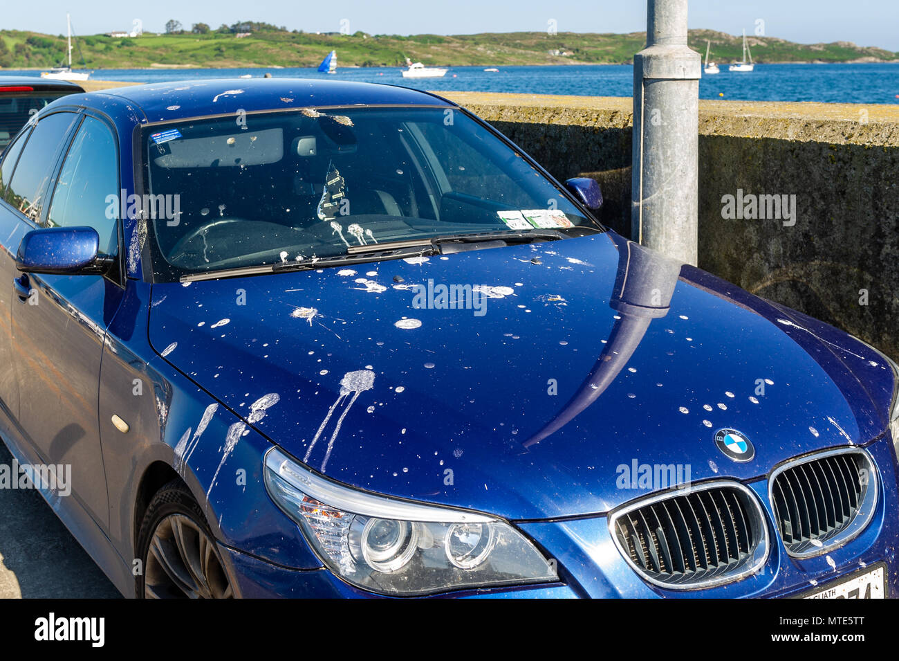 BMW parcheggiata sotto una coperta lampost in seagull pollina sul molo di Schull, County Cork, Irlanda. Foto Stock