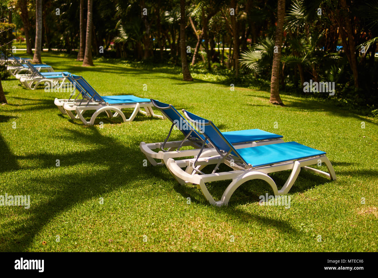 Lettini su erba verde in attesa per i turisti. Vista resort hotel di lusso di costa tropicale. Ombre di foglie di palme da cocco. Mar dei Caraibi. Riviera Maya Messico Foto Stock