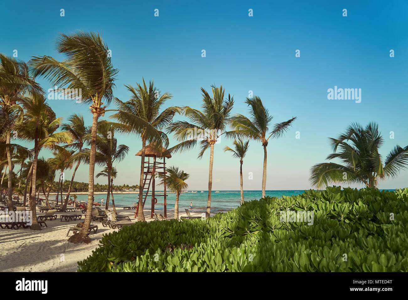 Vista resort hotel di lusso di spiaggia di Costa Tropicale. Luogo di bagnino. Foglie di palme da cocco che fluttua nel vento contro il cielo blu. Acque turchesi del Mar dei Caraibi. Riviera Maya Messico Foto Stock