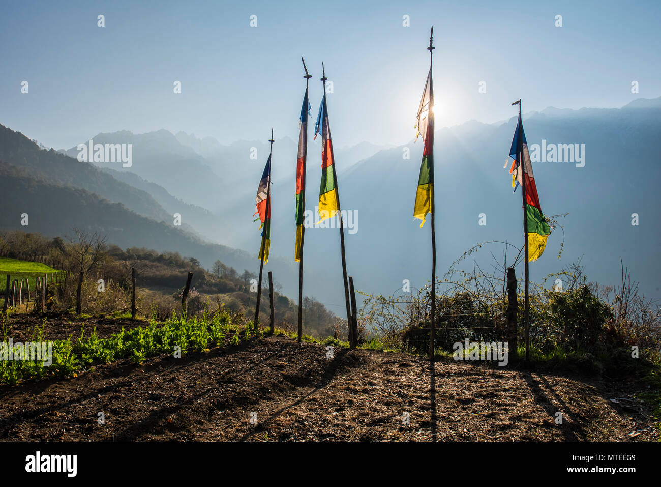 Bandiere di preghiera in corrispondenza del bordo del campo, di fronte al panorama di montagna, Gasa, Himalaya, Bhutan Foto Stock