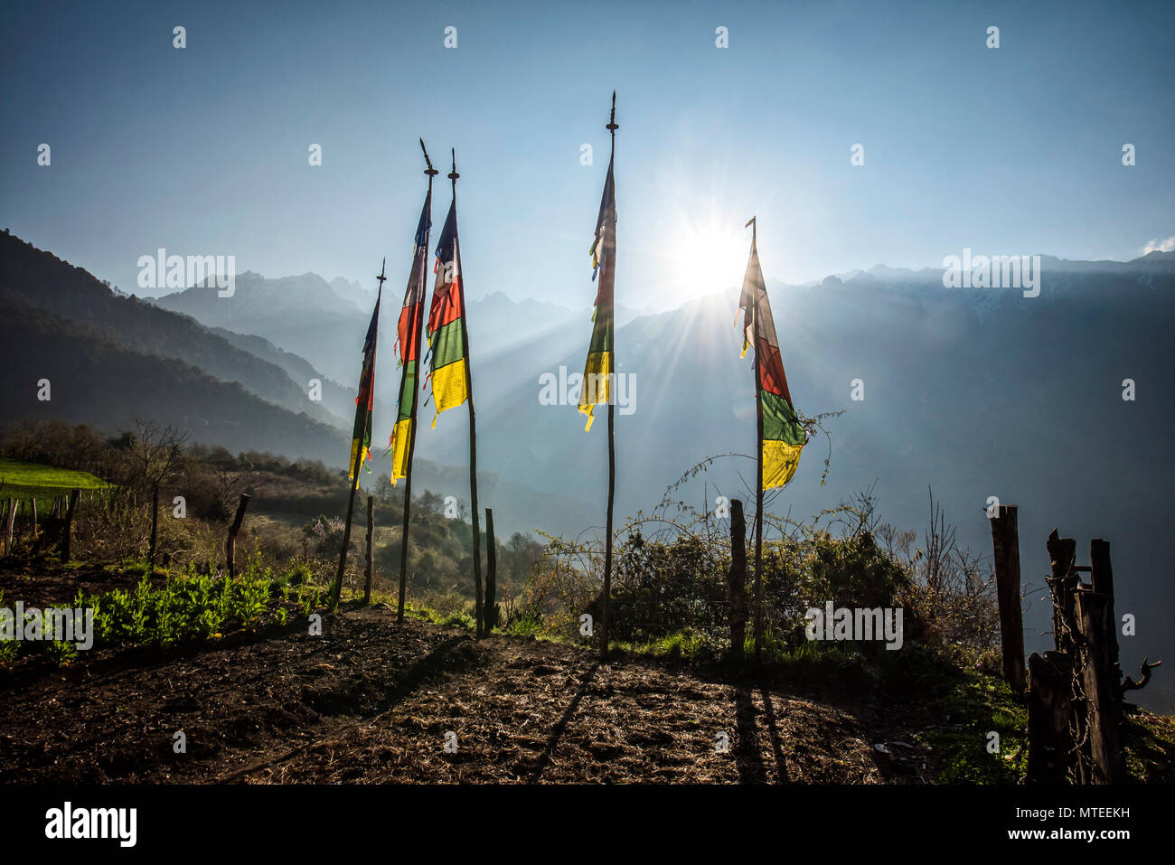 La preghiera buddista bandiere nella parte anteriore del Himalaya a sunrise, Gasa distretto, Regno del Bhutan Foto Stock