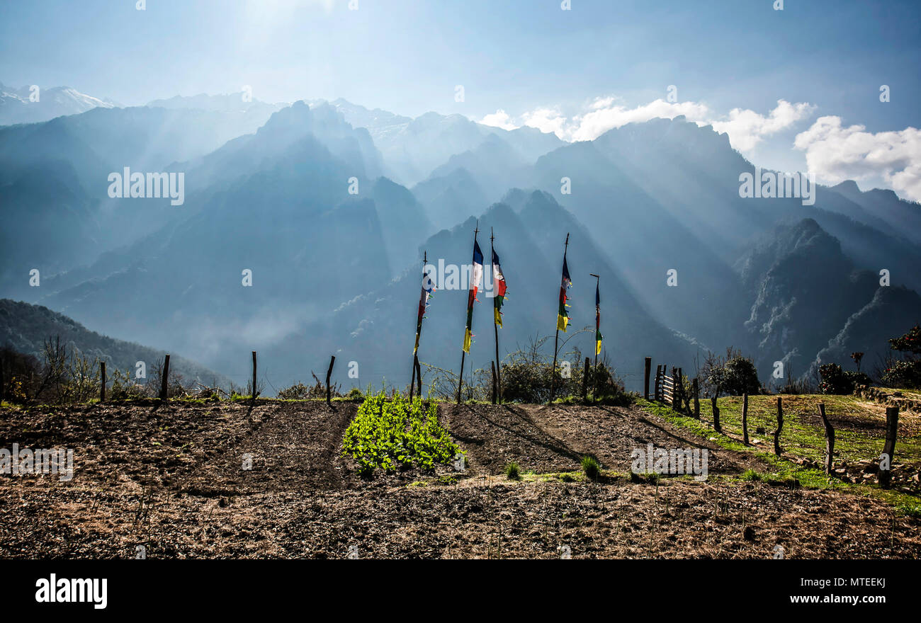La preghiera buddista bandiere nella parte anteriore del Himalaya a sunrise, Gasa distretto, Regno del Bhutan Foto Stock