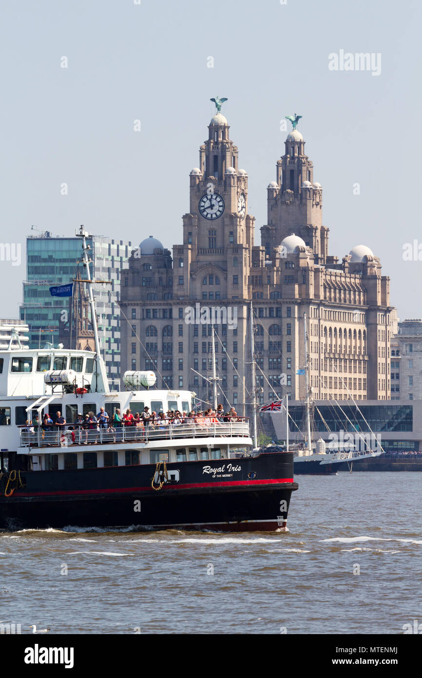 Il Traghetto Mersey Royal Iris passato a vela il fegato edifici sul fiume Mersey in Liverpool Regno Unito. Foto Stock