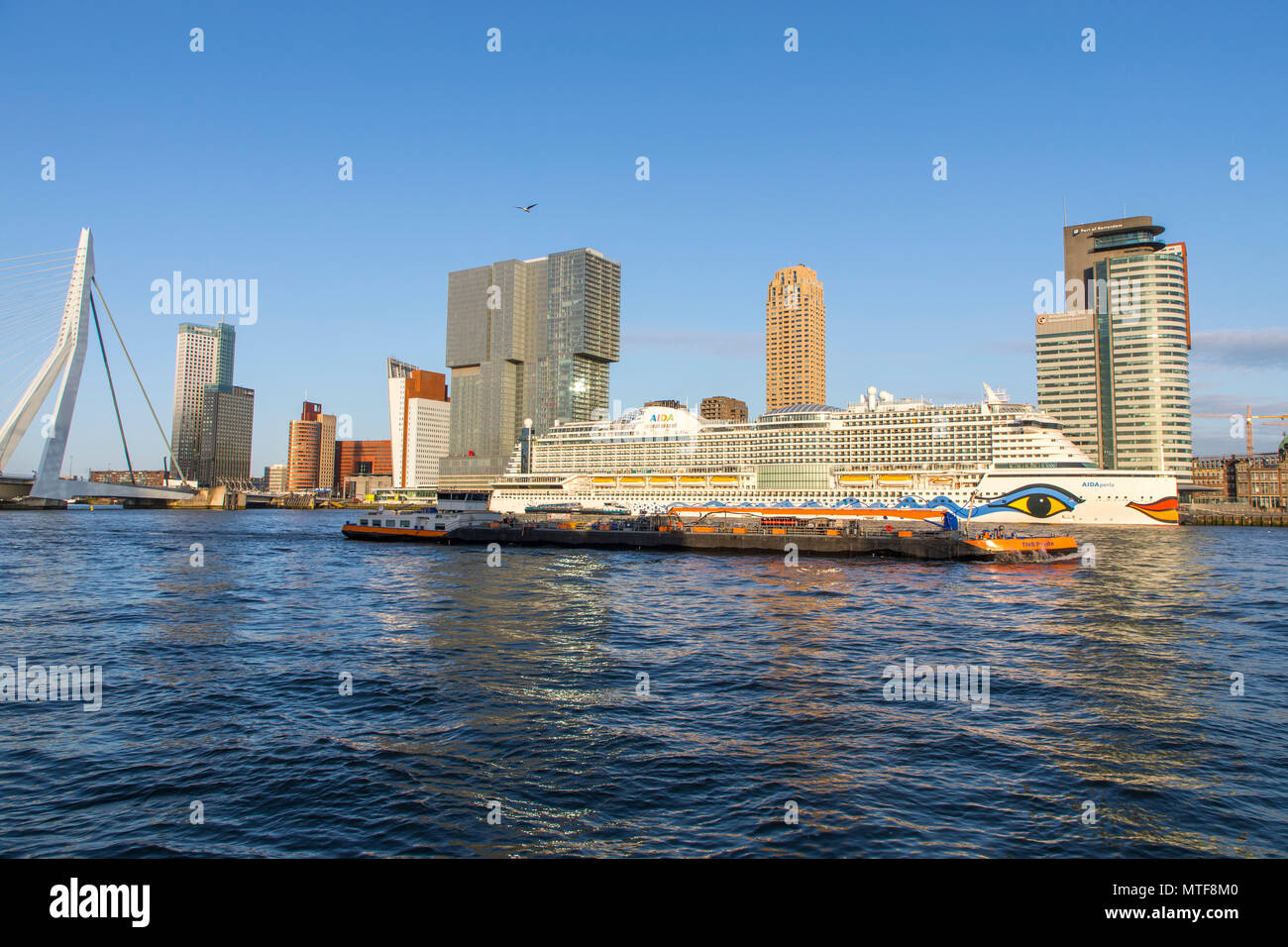 Rotterdam, skyline sul Nieuwe Maas, ponte Erasmus e grattacieli al "Kop van Zuid' distretto, nave da crociera "Aida Perla' al Terminal delle Navi da Crociera, Foto Stock