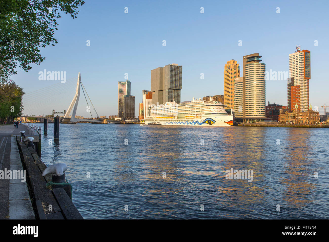 Rotterdam, skyline sul Nieuwe Maas, ponte Erasmus e grattacieli al "Kop van Zuid' distretto, nave da crociera "Aida Perla' al Terminal delle Navi da Crociera, Foto Stock