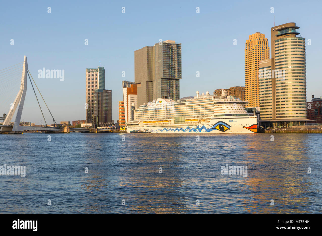 Rotterdam, skyline sul Nieuwe Maas, ponte Erasmus e grattacieli al "Kop van Zuid' distretto, nave da crociera "Aida Perla' al Terminal delle Navi da Crociera, Foto Stock