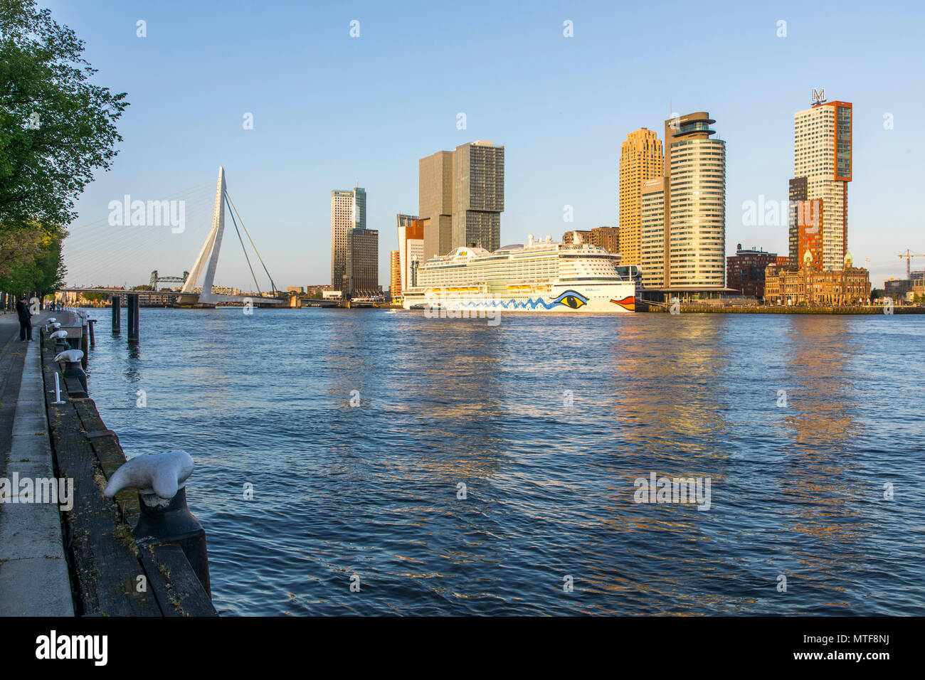 Rotterdam, skyline sul Nieuwe Maas, ponte Erasmus e grattacieli al "Kop van Zuid' distretto, nave da crociera "Aida Perla' al Terminal delle Navi da Crociera, Foto Stock