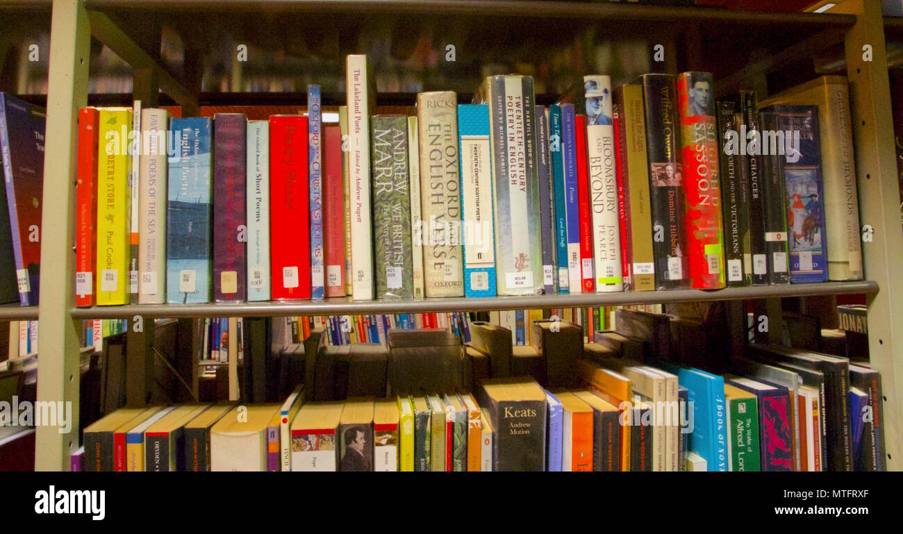 File di biblioteca Libri in letteratura la sezione Foto Stock