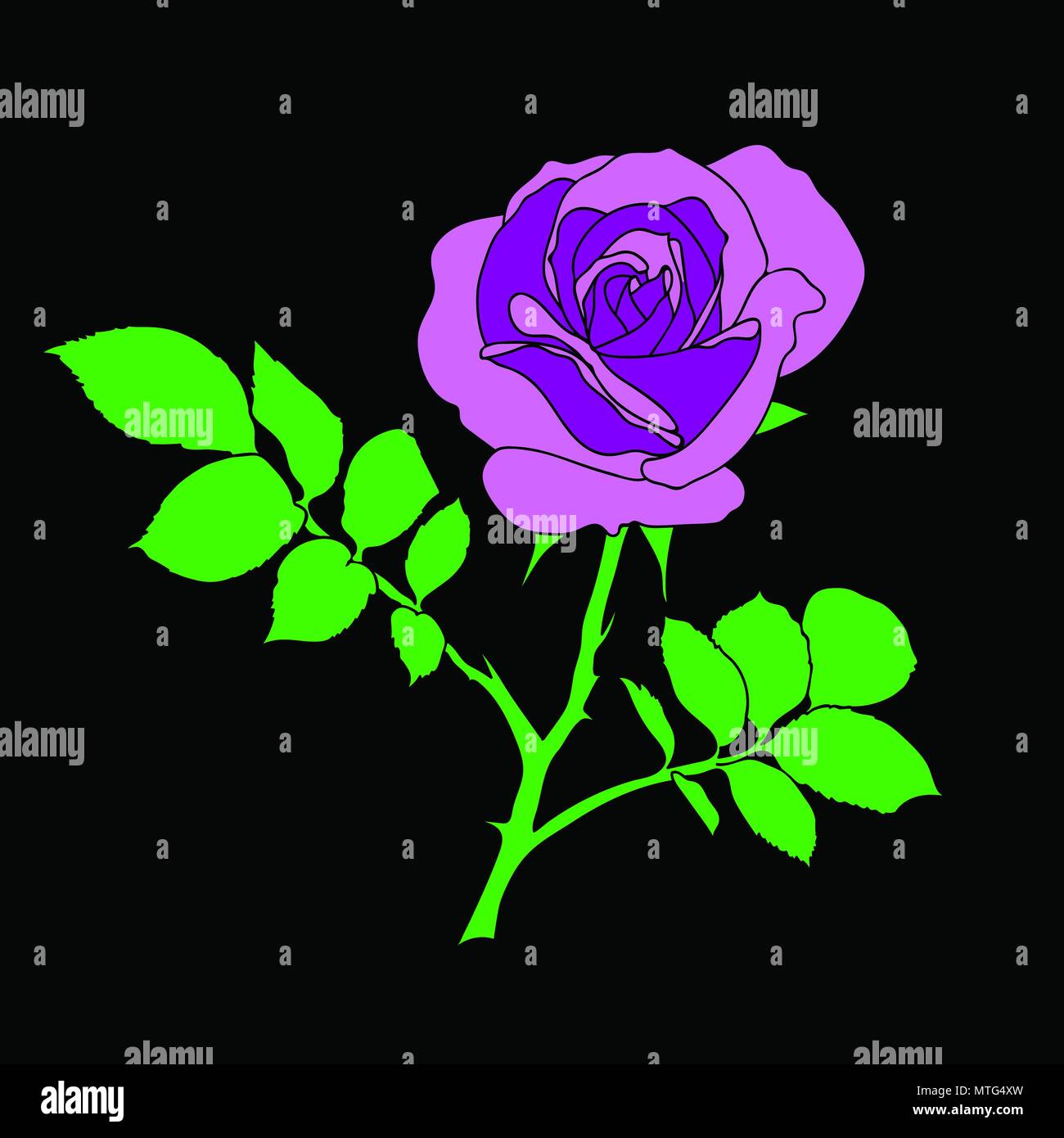 Campione di seamless viola sfondo rosa - pattern per la replica continua su sfondo nero. Può essere usata per tessuto, carta da parati, lavori di stampa o Foto Stock