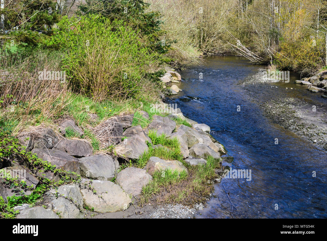 Stato di acqua salata Park in Des Moines Washington vicino Seattle, WA, Stati Uniti d'America Foto Stock