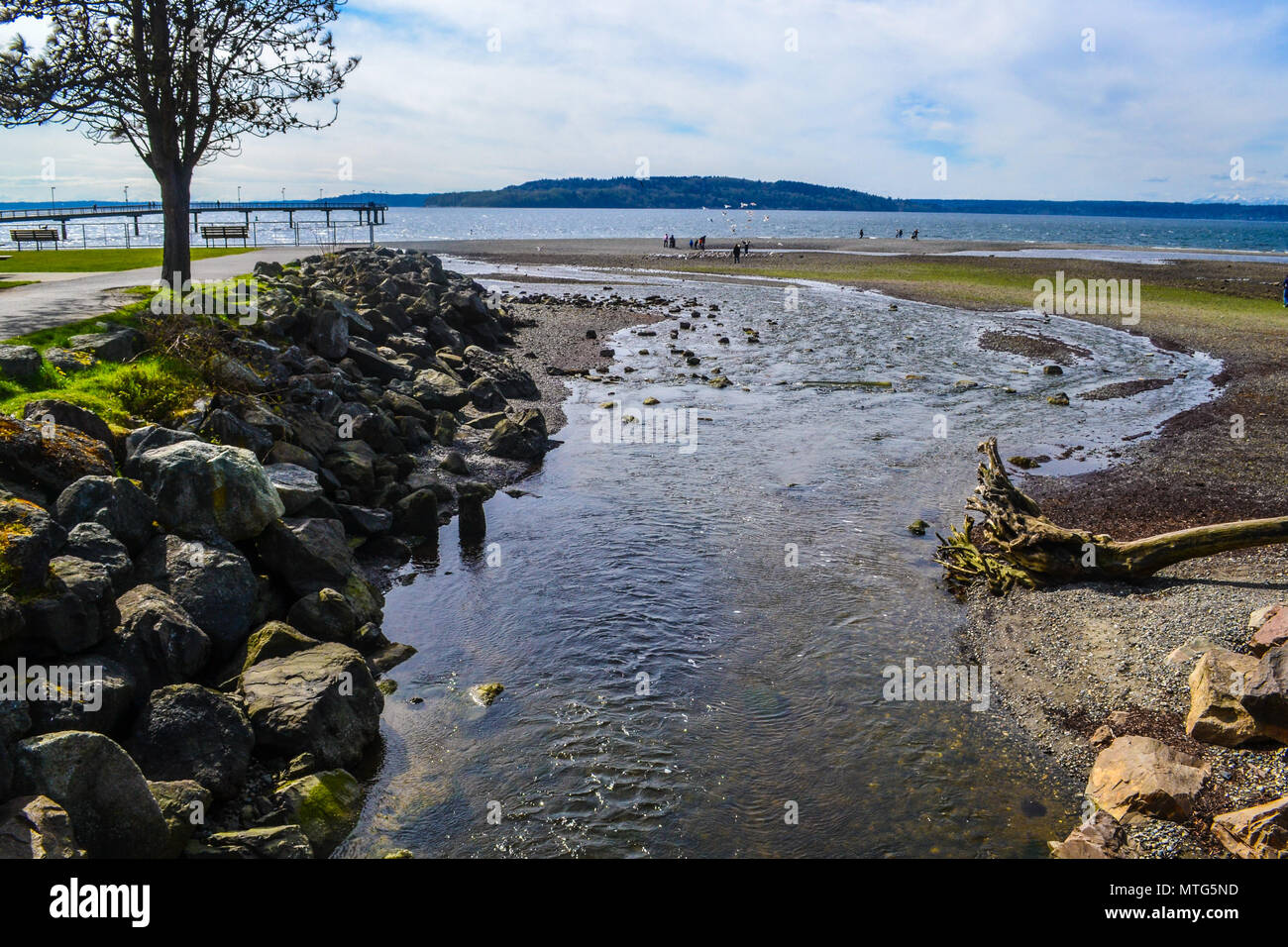 Stato di acqua salata Park in Des Moines Washington vicino Seattle, WA, Stati Uniti d'America Foto Stock
