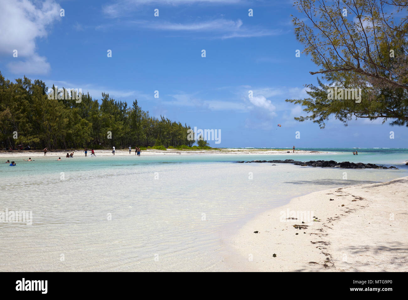 L'acqua limpida e spiagge bianche in Ile aux Cerfs, Mauritius Foto Stock