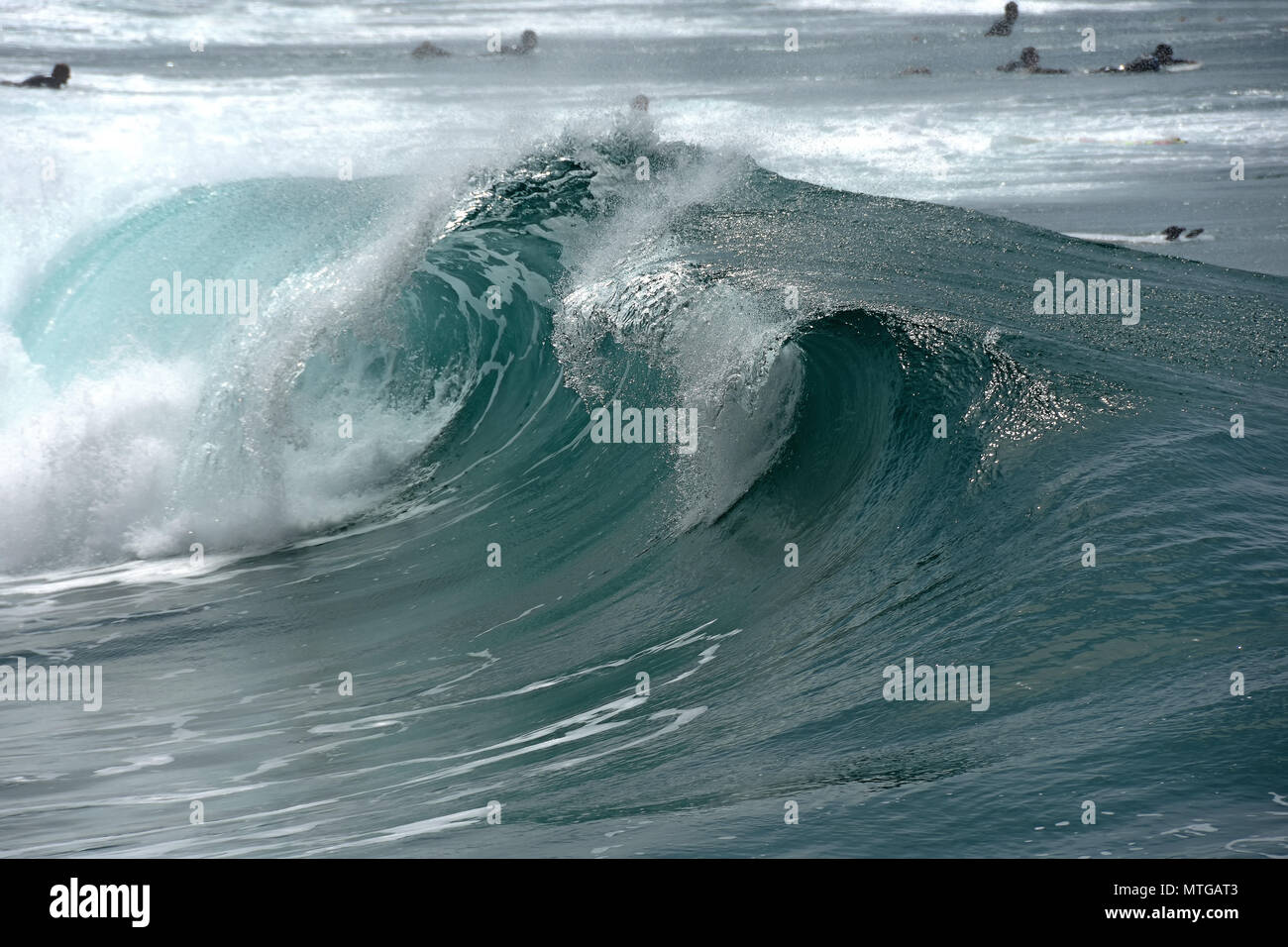 I surfisti e onde Foto Stock