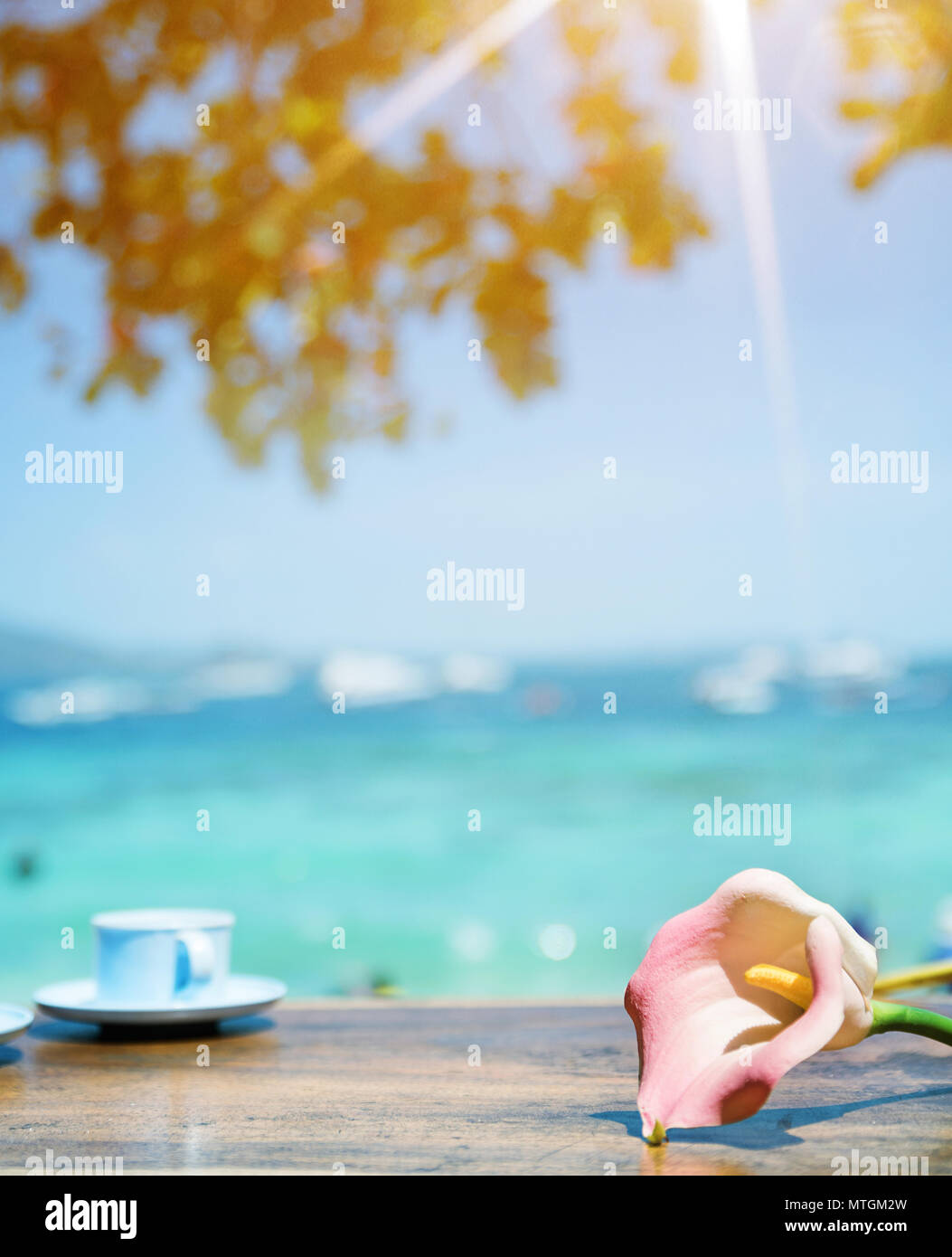 Il bellissimo panorama della baia di estate in una zona tropicale Foto Stock