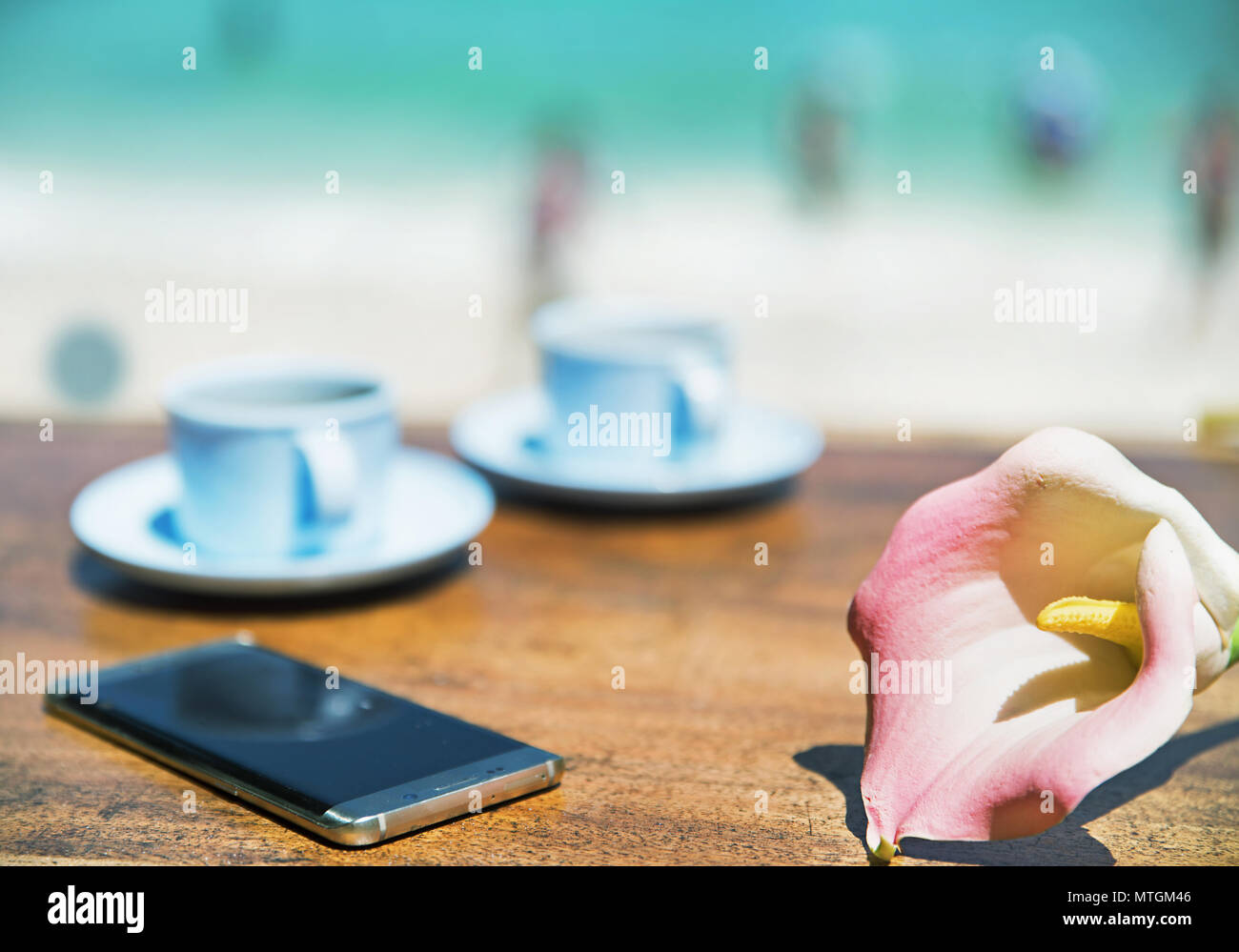 Estate, vacanze, ferie accessori - area tropicale Foto Stock