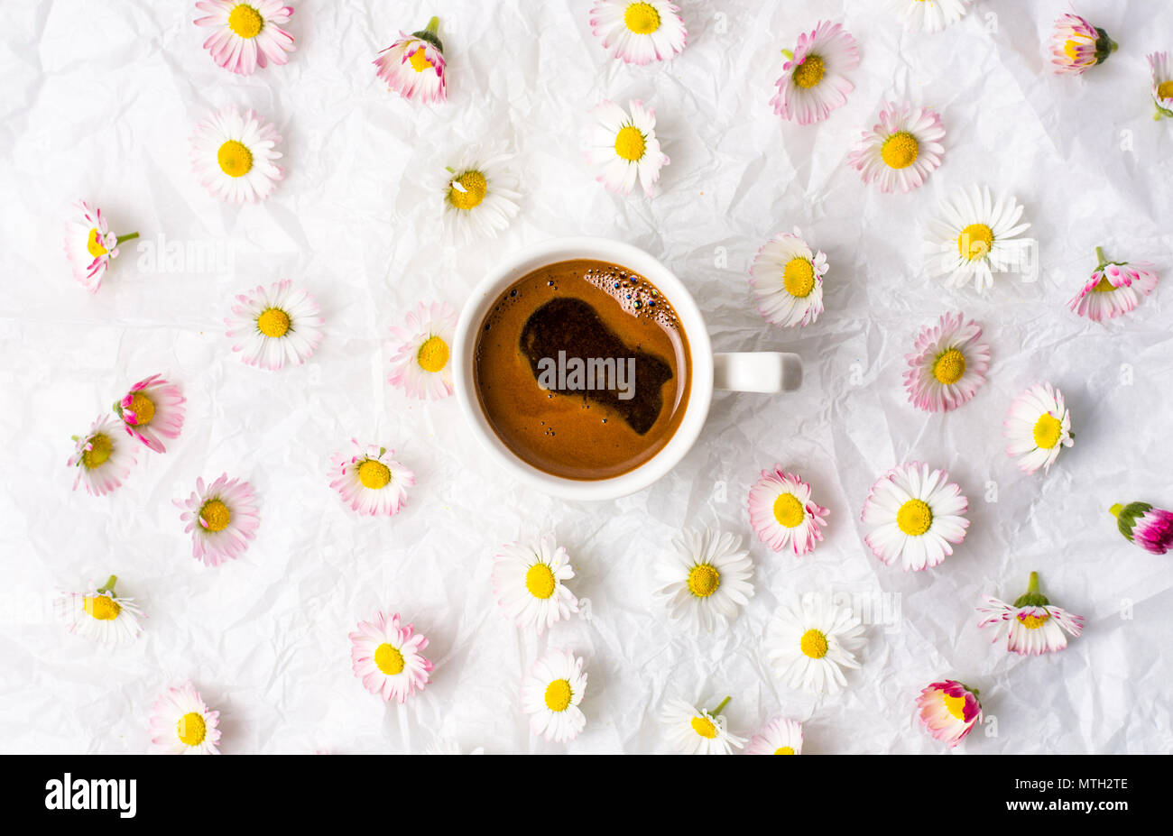 Tazza di caffè e daisy fiori sul tessuto bianco Foto Stock