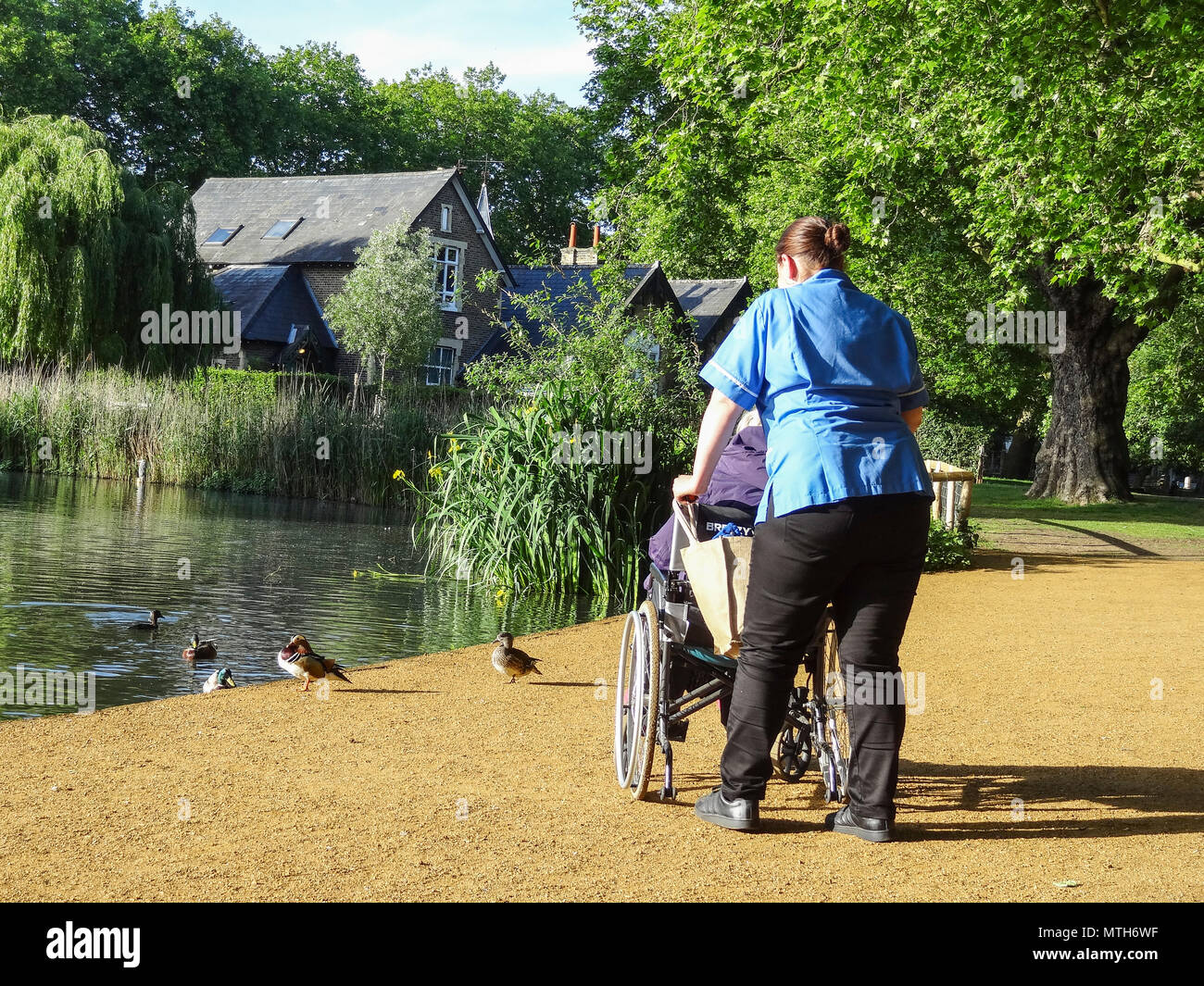 Assistenza sanitaria nella comunità - un infermiere della comunità e un paziente in sedia a rotelle che guarda un riposante Barnes Pond, Londra, SW13, Inghilterra, Regno Unito Foto Stock