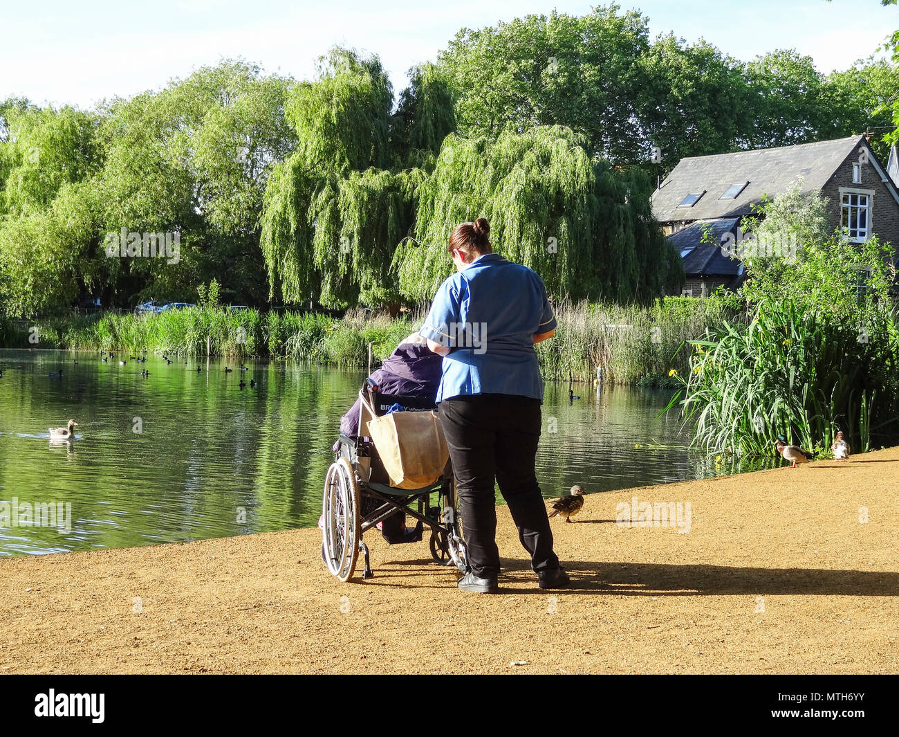 Un'infermiera di assistenza comunitaria e il suo paziente anziano, seduto su una sedia a rotelle, accanto al Lush Barnes Pond, Londra, SW13, Inghilterra, Regno Unito Foto Stock