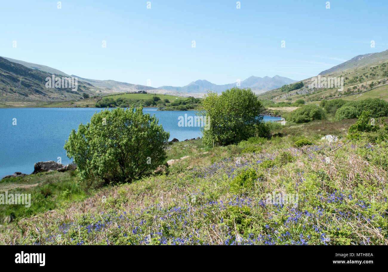 Llyn Mymbyr Foto Stock