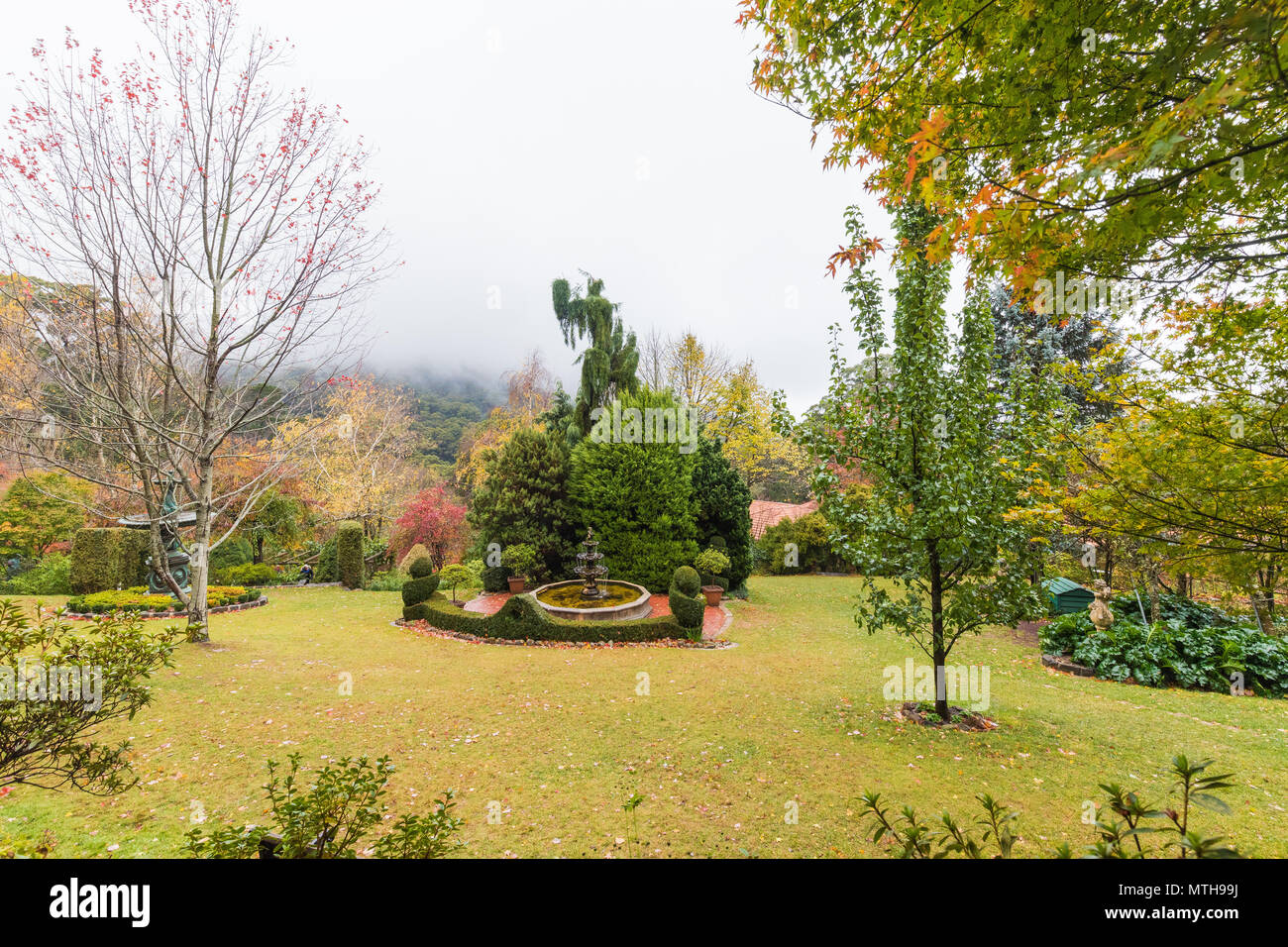 I colori autunnali nella foresta Glade giardini, Mount Macedon Foto Stock