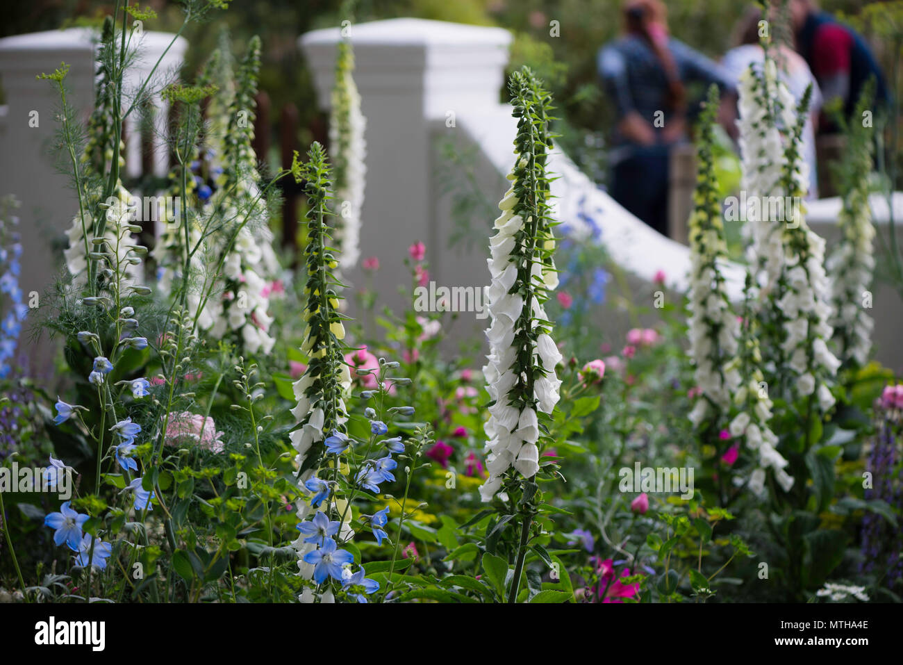 Chelsea Flower Show 2018 Foto Stock