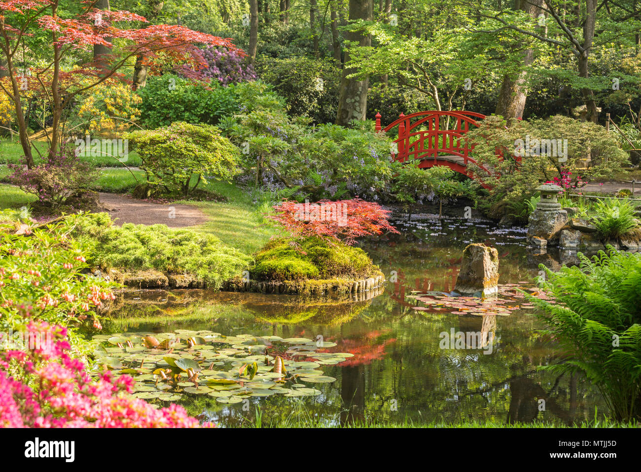 Il giardino giapponese a Park Clingendael con vista del ponte rosso, l'Aia, Olanda meridionale, Paesi Bassi. Foto Stock